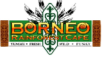 Borneo-Rainforest