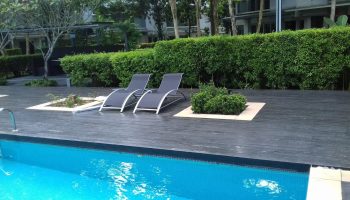 Zenia Management Desapark City