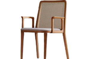 Picasso Arm Dining Chair, JD-288