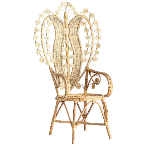 Bella Peacock Design Arm Chair,